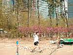 20020420_r06.JPG