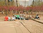 20020420_r23.JPG