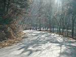 20030101_r08.JPG