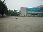 20030606_r07.JPG