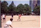 20010527_03.gif(197177����Ʈ)